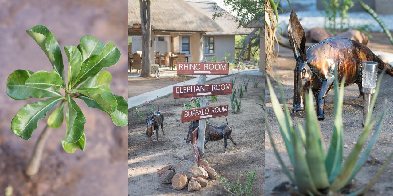 Bushbaby River Lodge Hoedspruit Exterior photo
