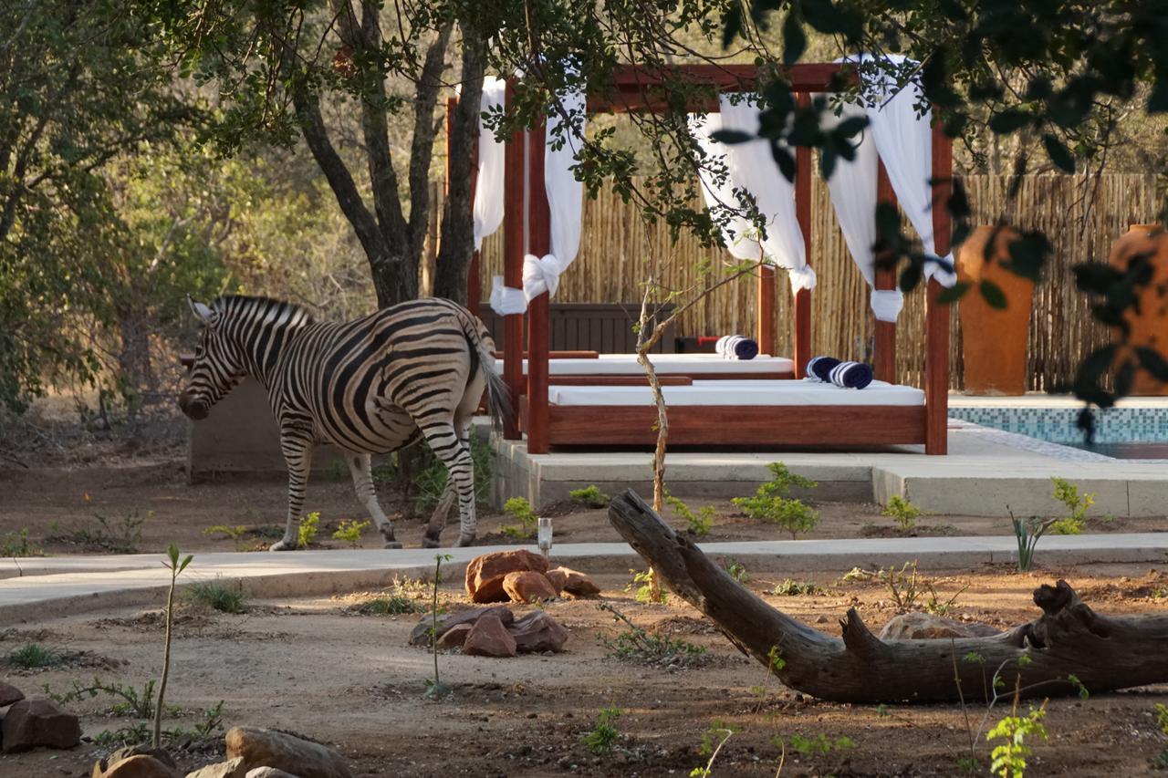 Bushbaby River Lodge Hoedspruit Exterior photo