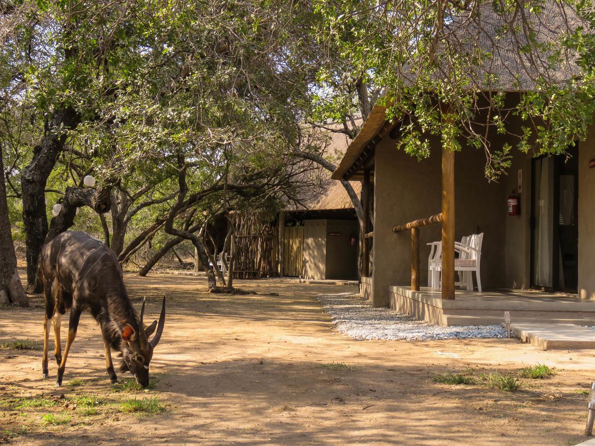 Bushbaby River Lodge Hoedspruit Exterior photo